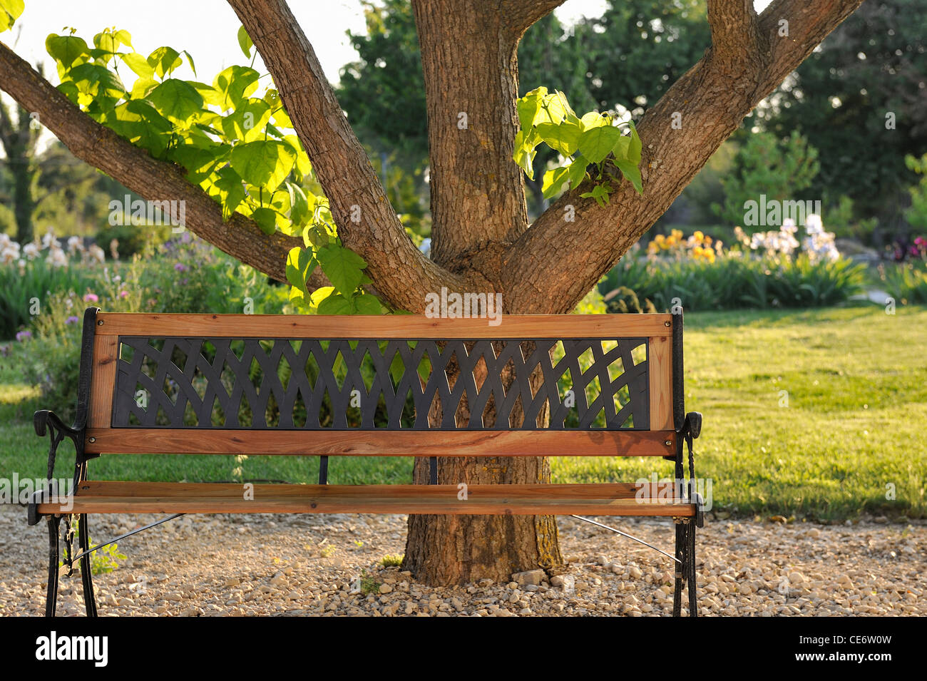 Banco de madera en un jardín bajo un árbol, Provenza, Francia Foto de stock