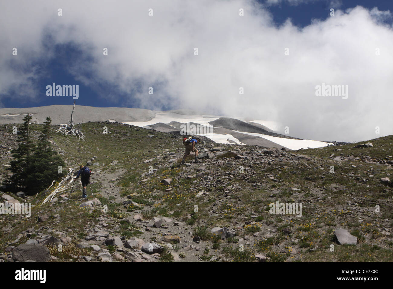 Caminante del rebrote de ceniza fuera del cráter del volcán Monte Santa Helena Monumento Nacional cráter washington park saint Helen's estrato Foto de stock