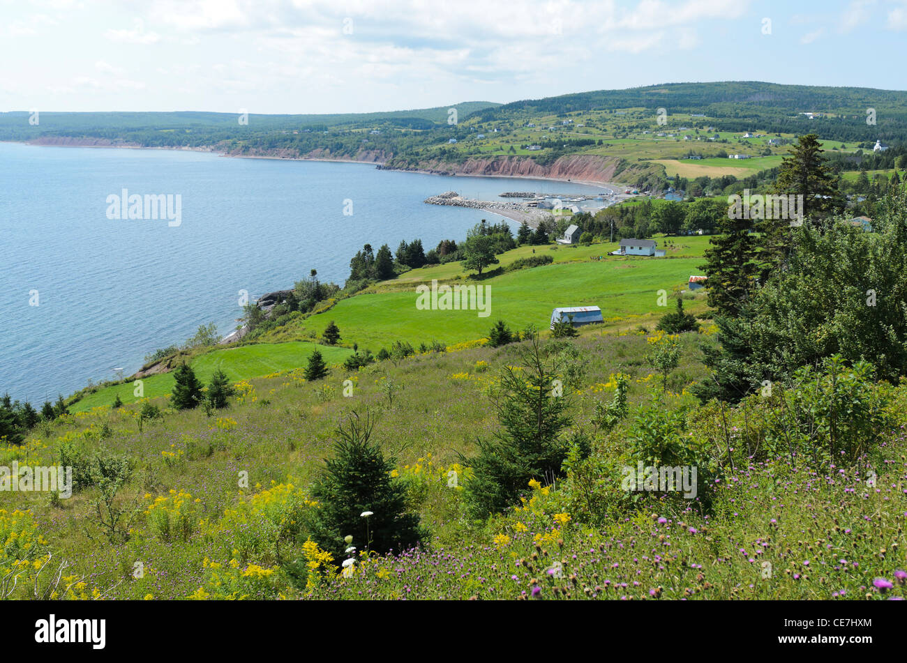 En el Condado de Antigonish Ballantynes Cala Nova Scotia, Canadá Foto de stock