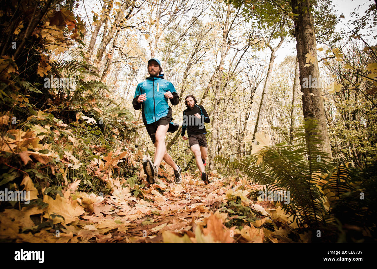 Dos hombres trail running a través de un bosque en los colores del otoño. Foto de stock