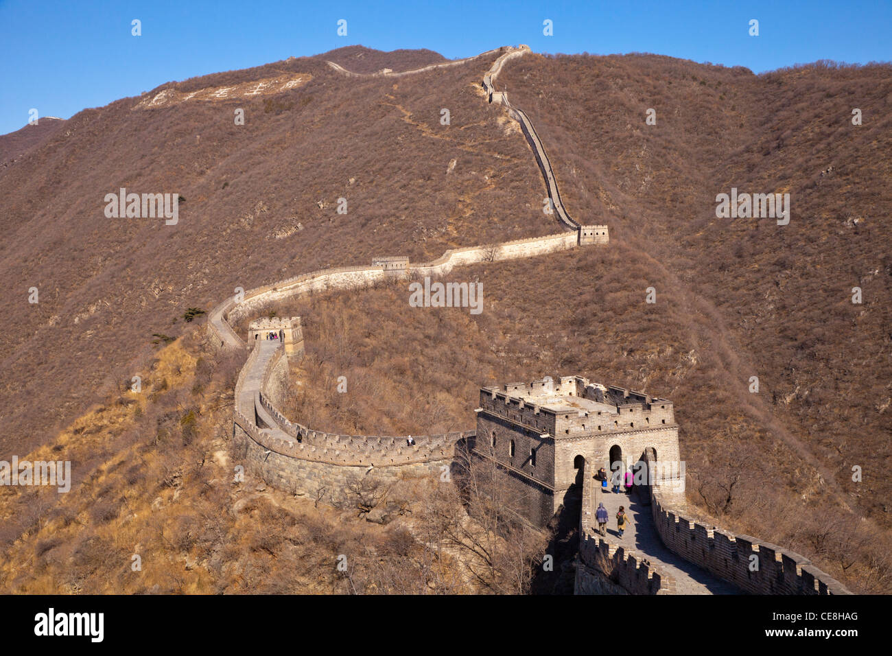La sección restaurada de la Gran Muralla de China en Mutianyu, cerca de Beijing, adoptada a finales de invierno. Foto de stock