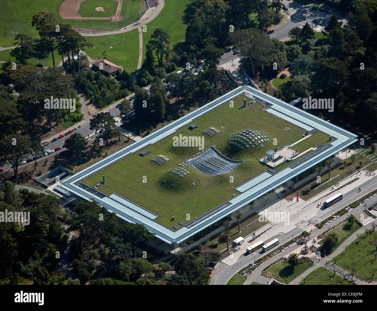 Fotografía aérea el techo verde, museo de la Academia de Ciencias de California Golden Gate Park San Francisco Foto de stock