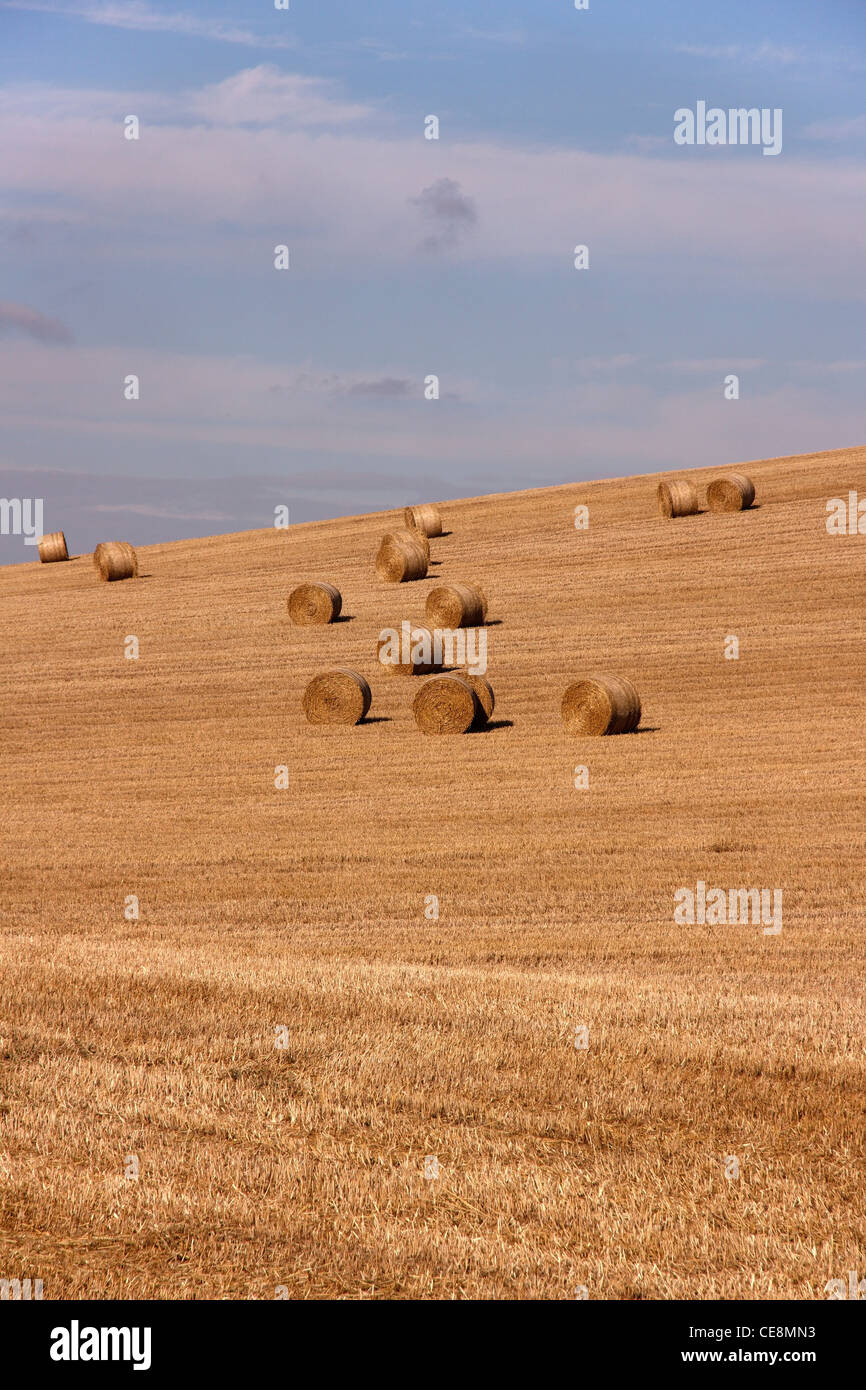 Gran Ronda los fardos de heno en cortar campo de maíz durante la cosecha, Leicestershire, Inglaterra, Reino Unido. Foto de stock