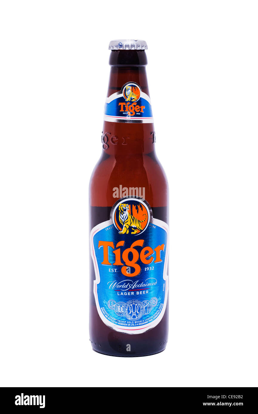 Una botella de cerveza Tiger sobre un fondo blanco. Foto de stock