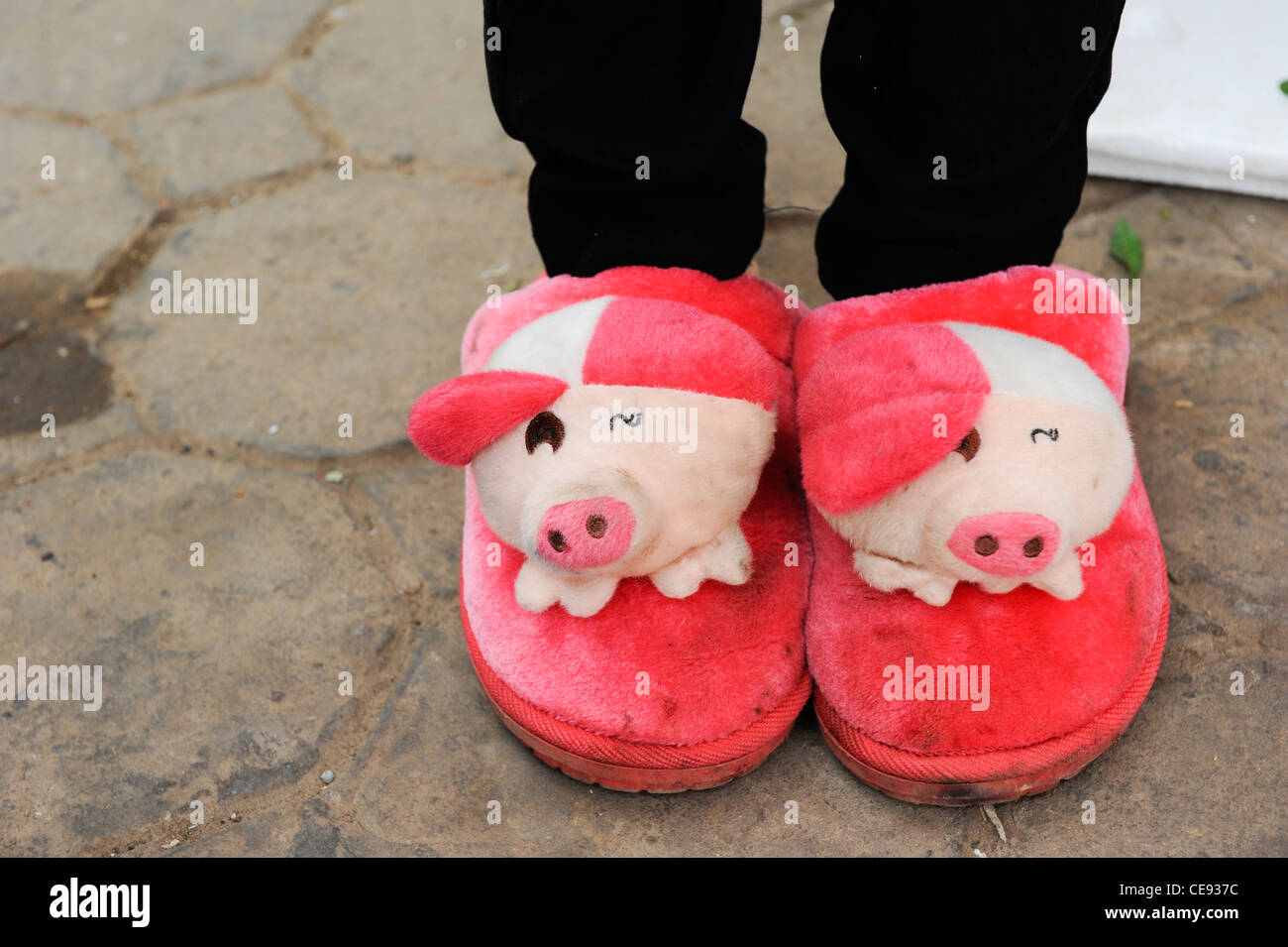 Asia LAOS Oudomxay, fruta china trader con gracioso zapatilla de felpa con dos cerdo cabeza Foto de stock
