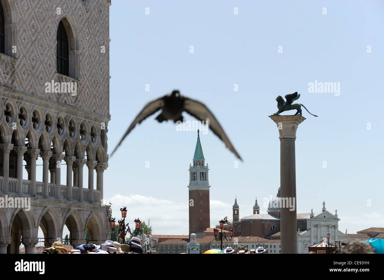 Plaza de San Marcos en Venecia con una paloma en vuelo Foto de stock