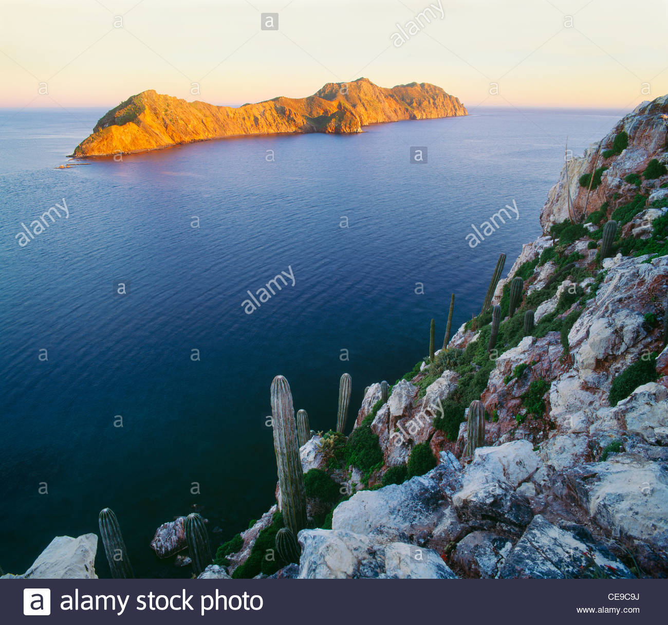 Isla Datil Al Atardecer Visto Desde La Isla Cholludo Midriff Islas Mar De Cortes Mexico Fotografia De Stock Alamy