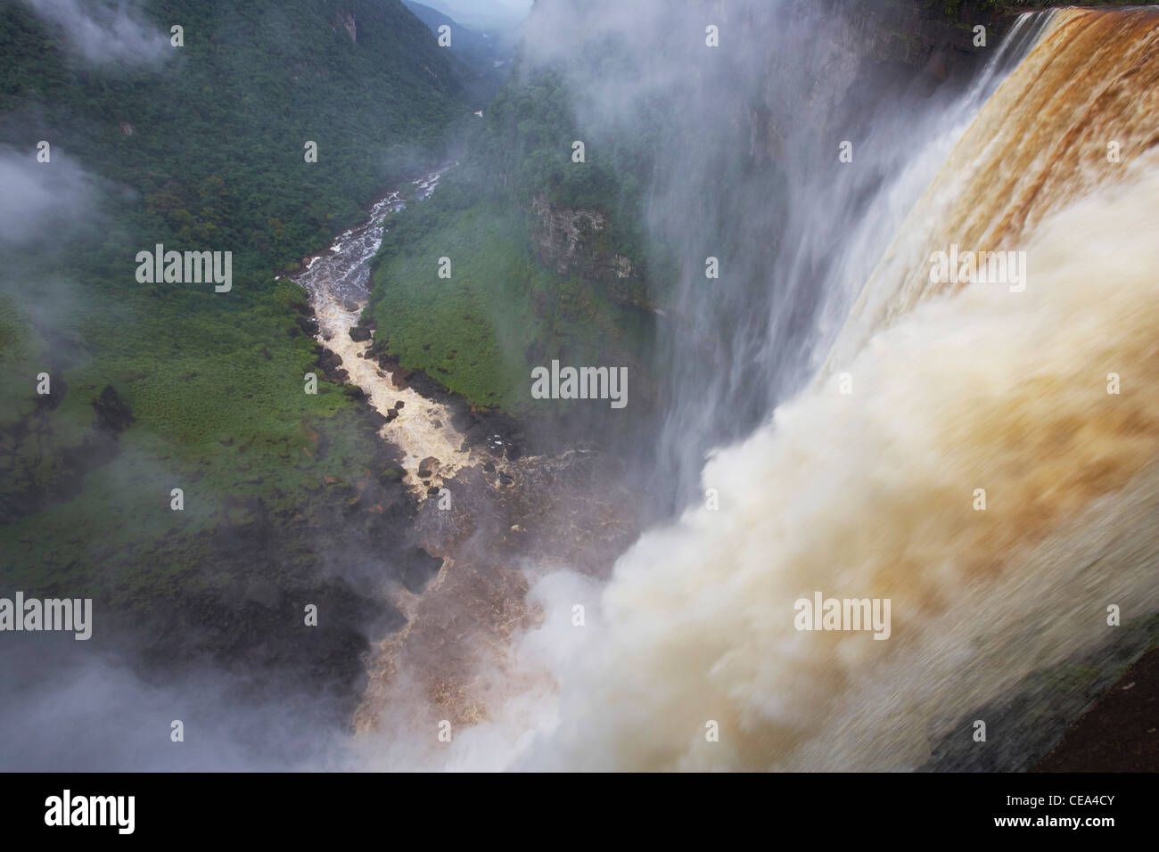 Las cataratas de Kaieteur, río Potaro, Guyana, América del Sur, supuestamente la más grande del mundo una sola gota cascada. Foto de stock