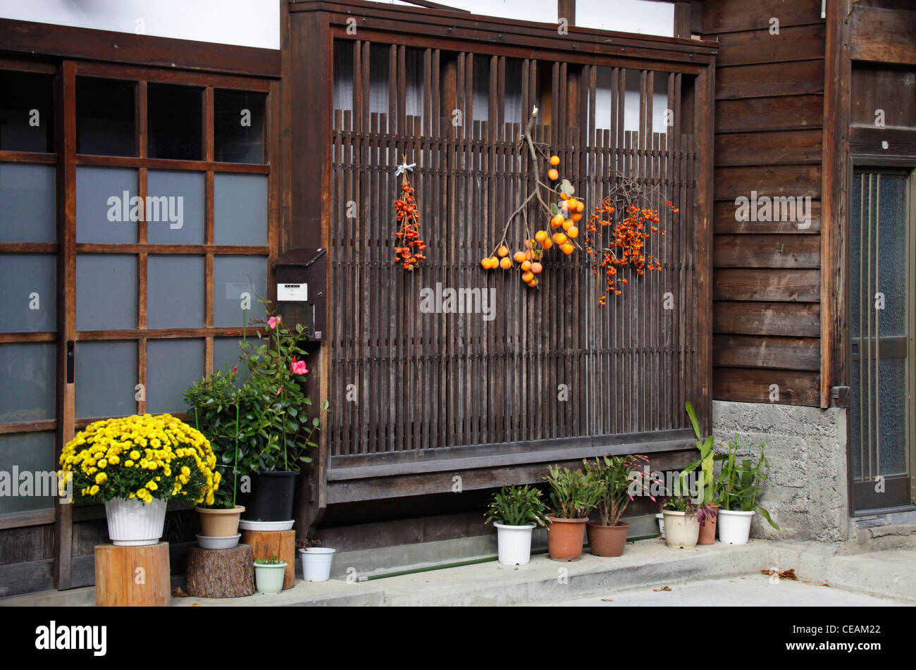 Las plantas ornamentales que aparecen delante de una casa de Narai-juku ciudad histórica de Kisoji Nakasendo Nagano, Japón Foto de stock