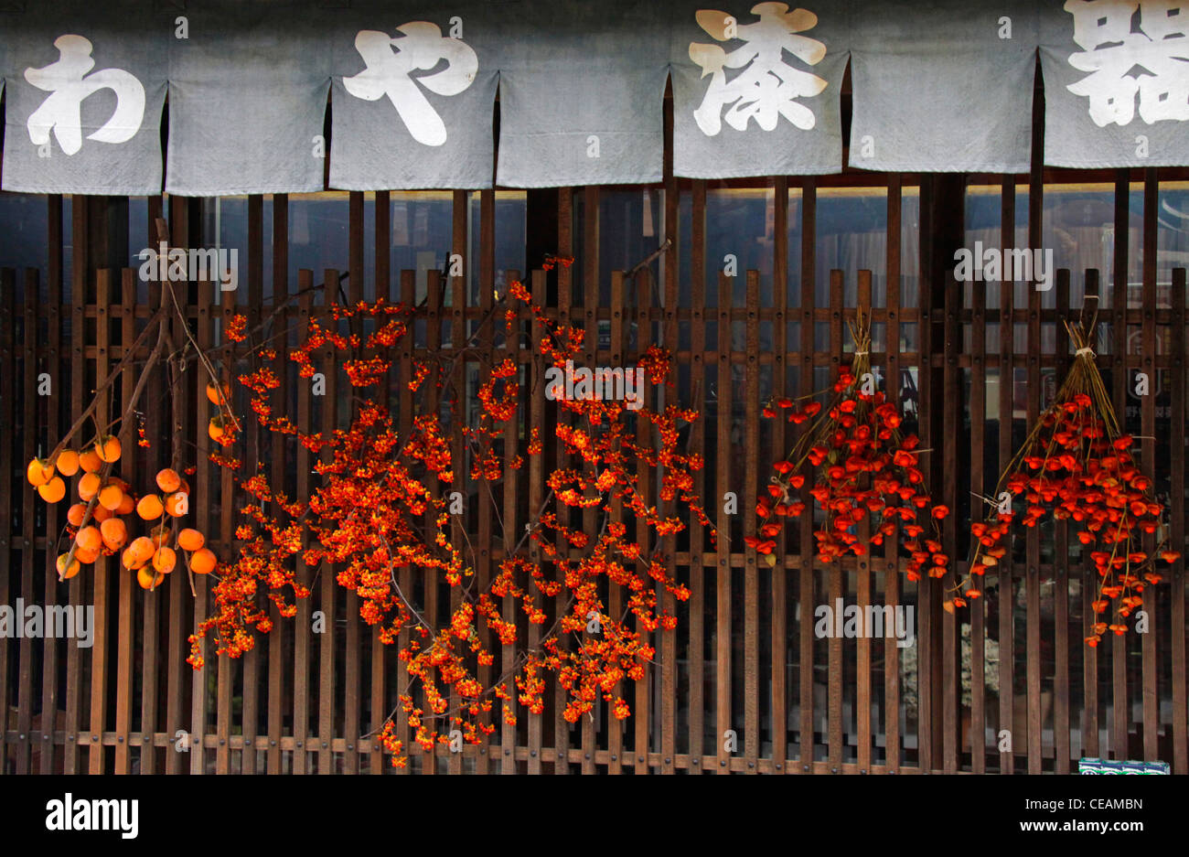 Las plantas ornamentales que aparecen delante de una casa de Narai-juku ciudad histórica de Kisoji Nakasendo Nagano, Japón Foto de stock
