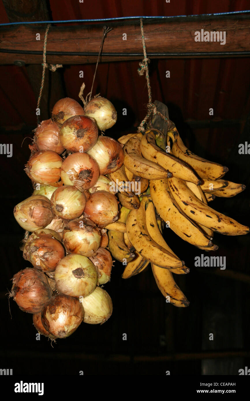 Las cebollas y plátanos colgando de las vigas en un tradicional restaurante de Costa Rica Foto de stock