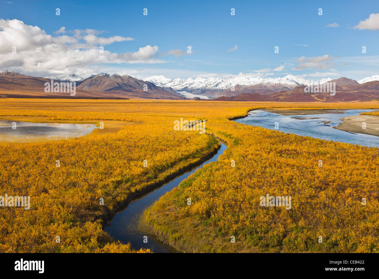 Vista panorámica del Glaciar, Maclaren Maclaren River Valley y la región oriental de Alaska Range Mountains en el otoño atrasado en el interior de Alaska. Foto de stock