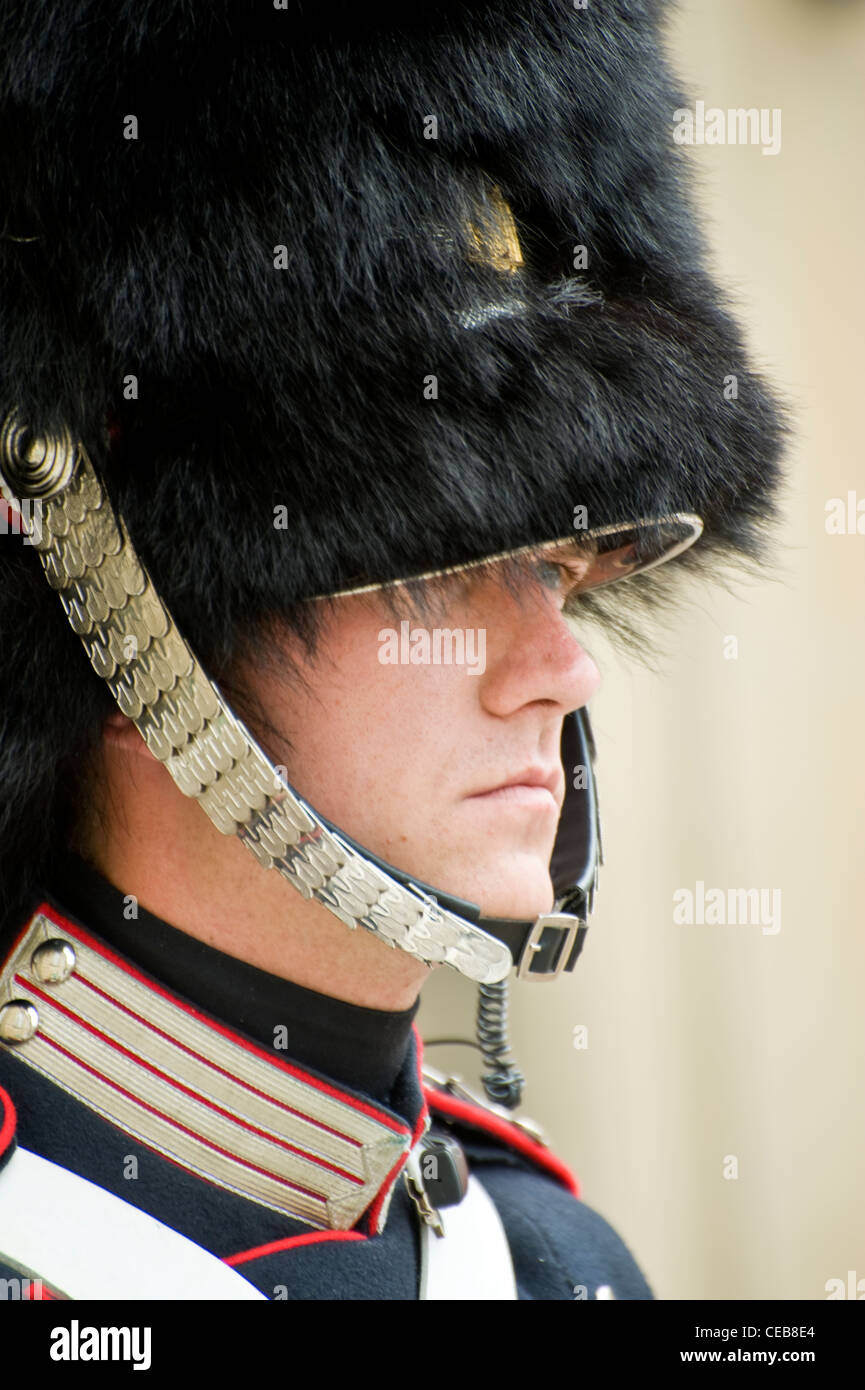 La Guardia Real Danesa Foto de stock