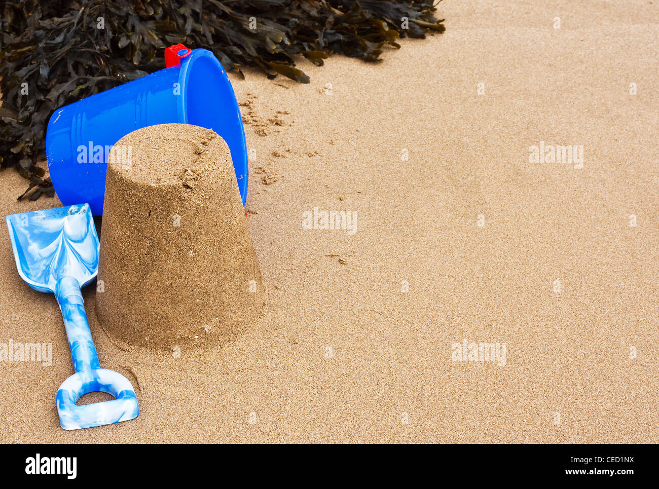 Cubo y pala y un castillo de arena en la playa con algas, buena estructura, con copia espacio o área de texto Foto de stock