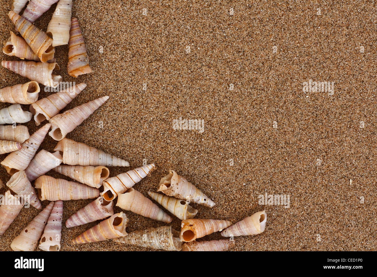 Torre de bastidor de conchas en la playa con área de texto Foto de stock