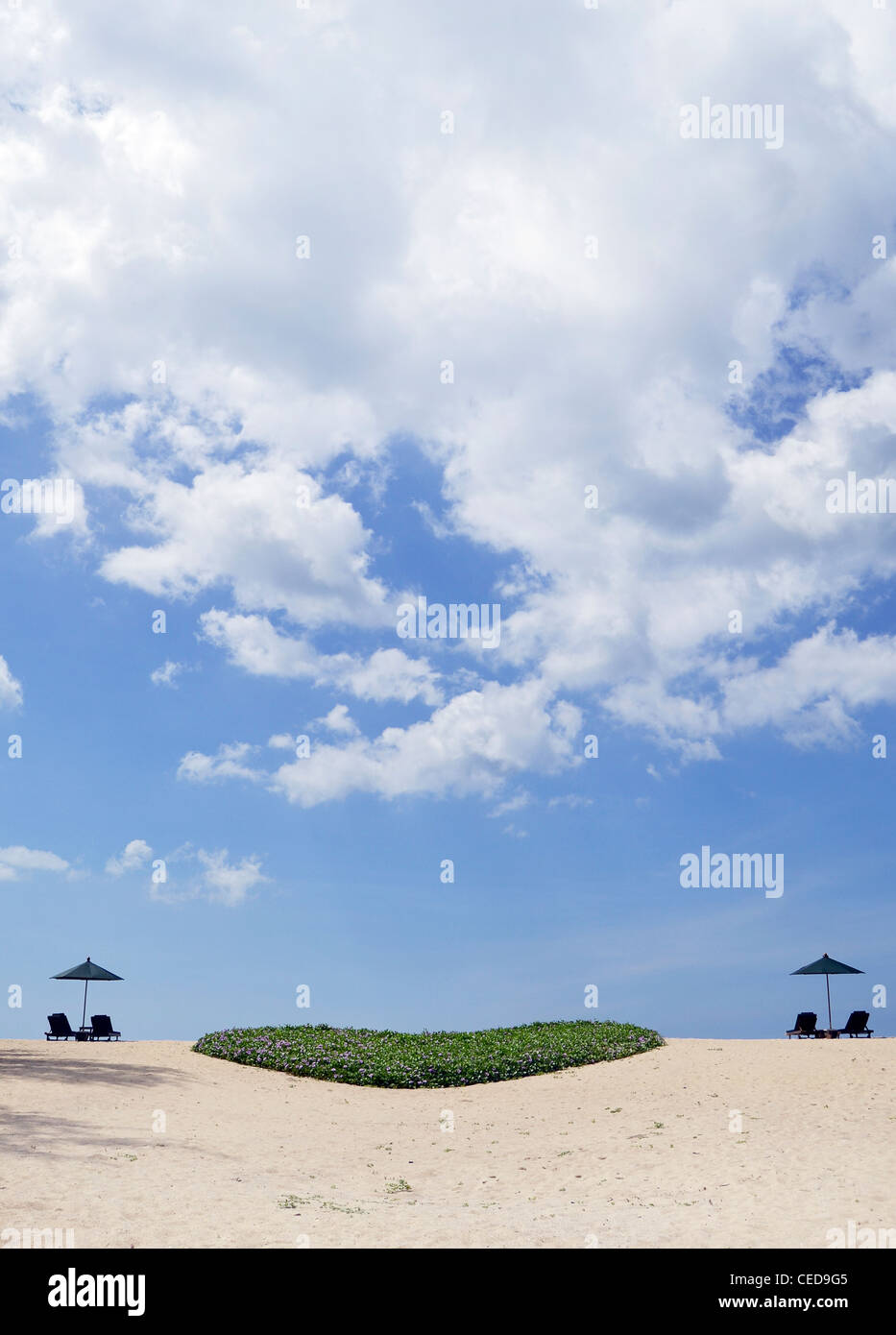 Sueño de playa con tumbonas y un corazón verde de las plantas, en el sur de Tailandia, Phuket, Tailandia, el sudeste de Asia Foto de stock