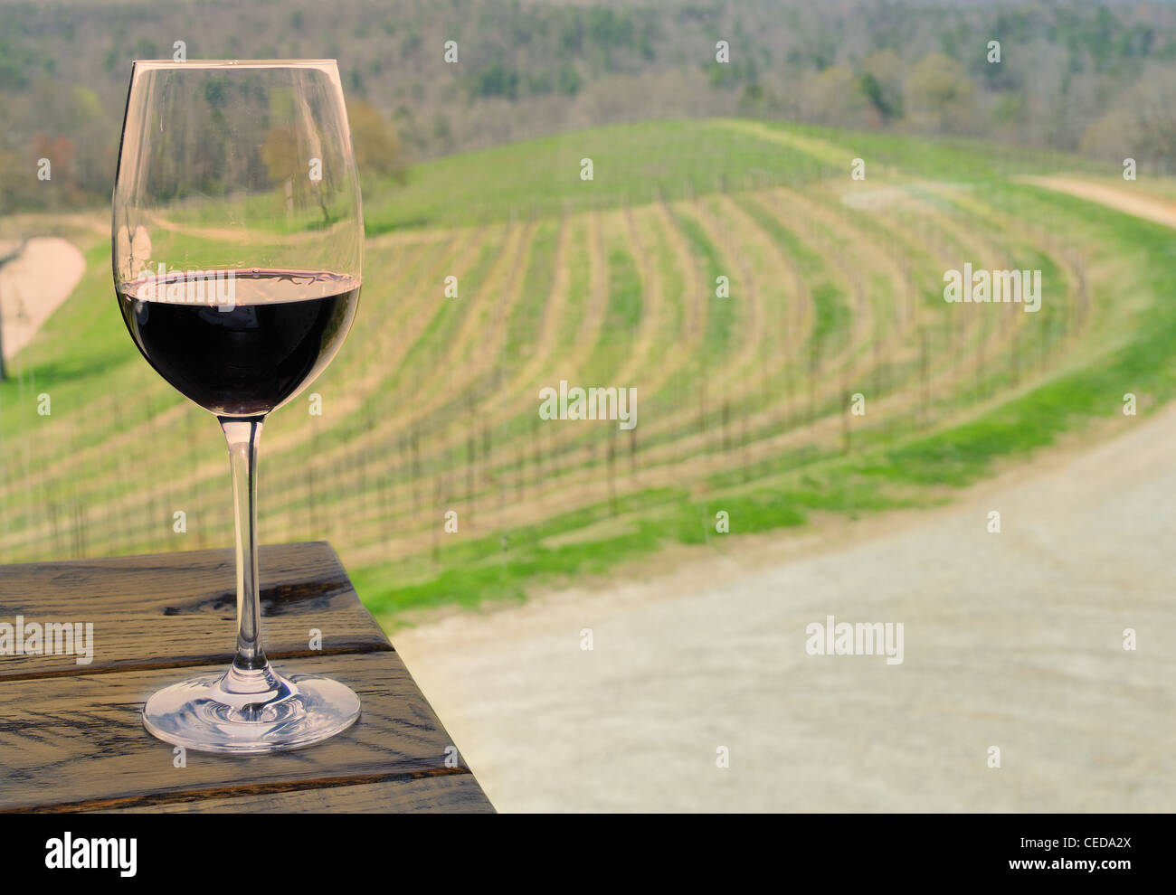 Un viñedo y una copa de vino. Foto de stock