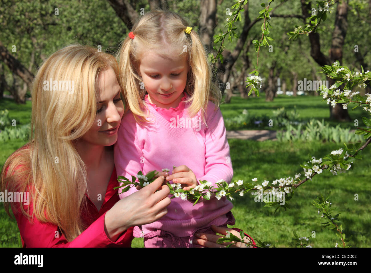 Madre e hija mire florecimiento rama del manzano en el jardín Foto de stock