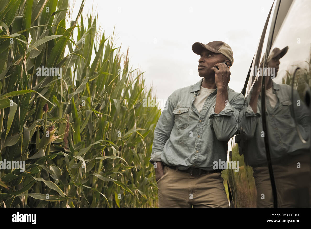 El agricultor africano-americanos hablando por teléfono celular en el campo Foto de stock