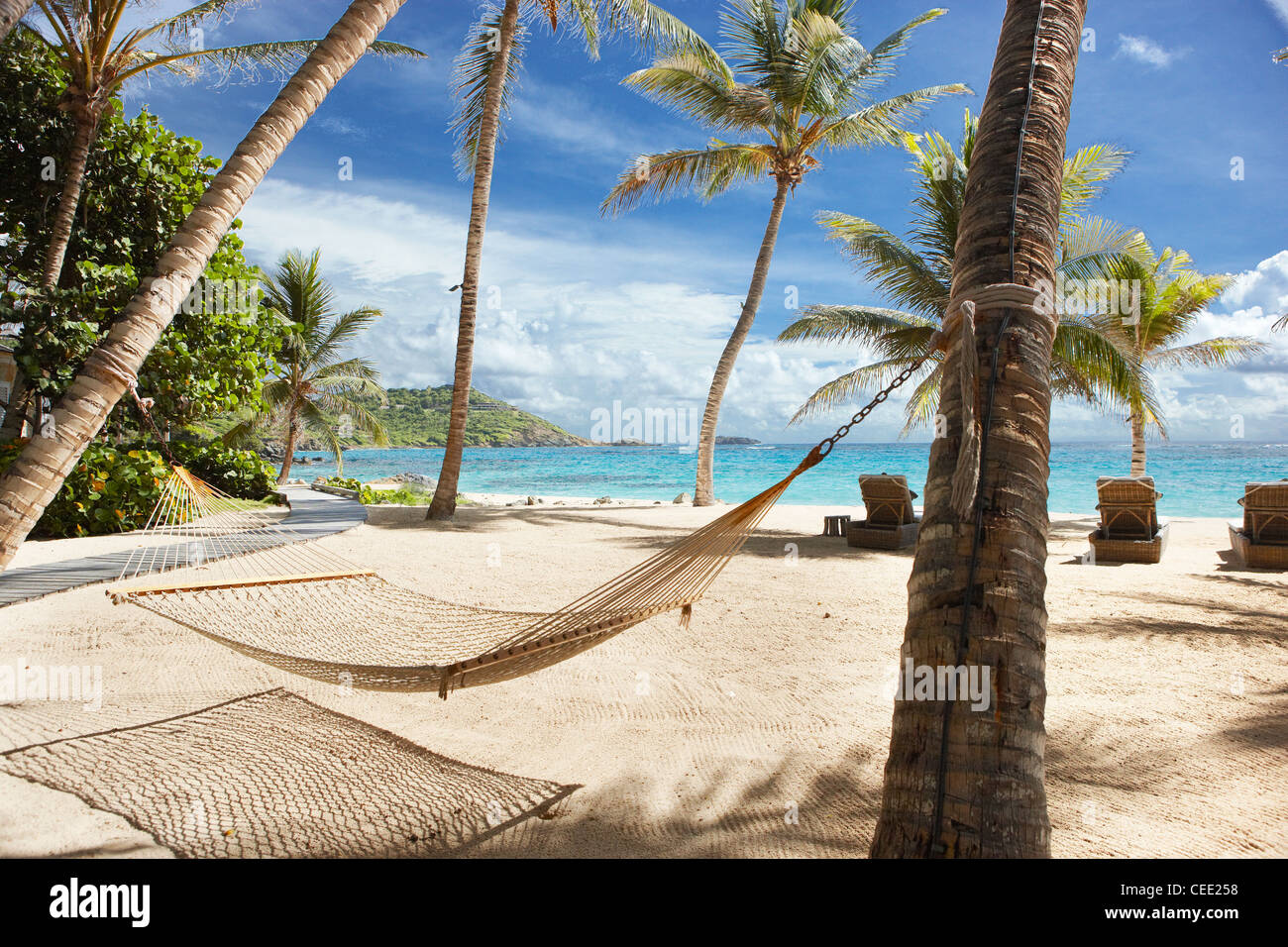 playa hamaca palmeras isla tropical paraíso Foto de stock