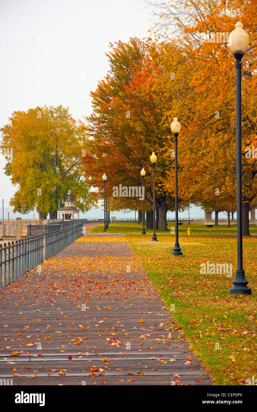 Un paseo en otoño Foto de stock