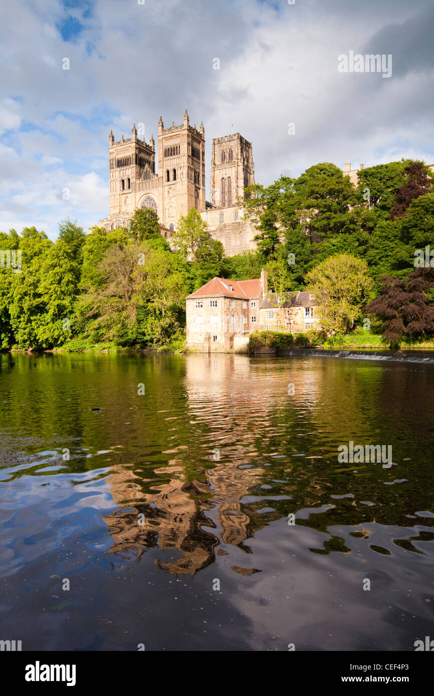 La catedral de Durham y el río desgaste, de la ciudad de Durham, en el Condado de Durham, Inglaterra. Foto de stock