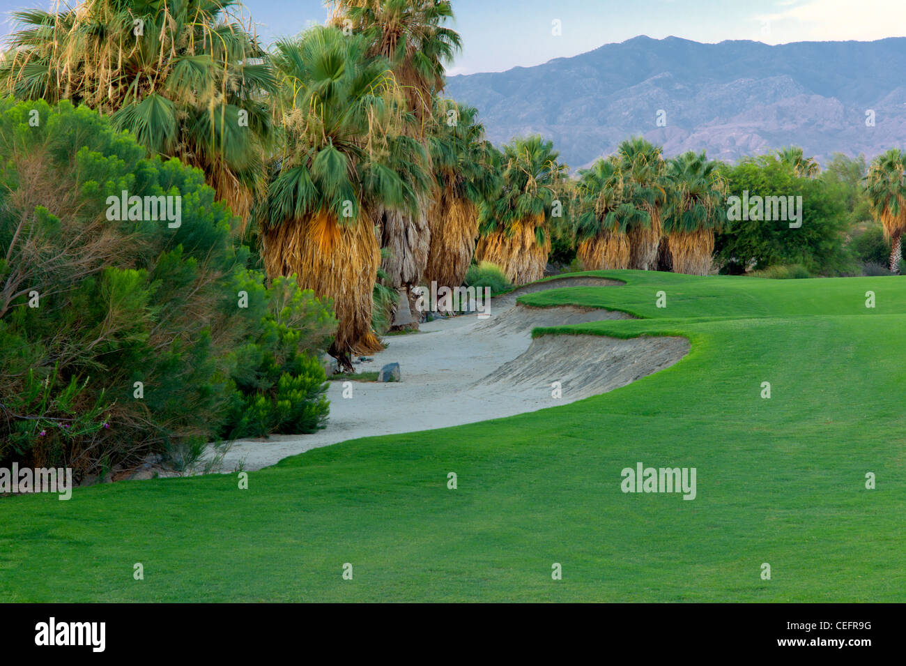 El paisajismo alrededor de Desert Willow Golf Resort. Palm Desert, California Foto de stock