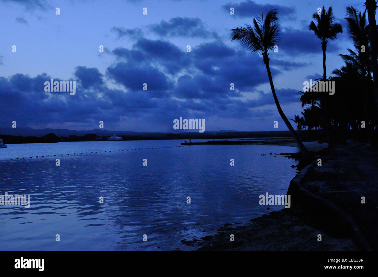 Azul Atardecer / Amanecer espectacular sub palmeras tropicales en silueta Foto de stock