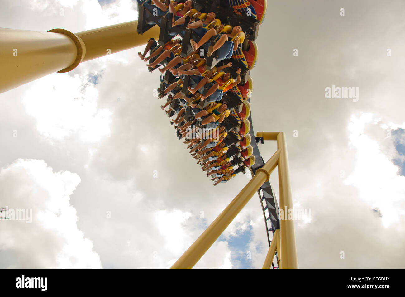 Busch Gardens Tampa Florida montu roller coaster Foto de stock
