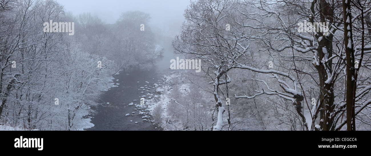 La nieve cubre los árboles a lo largo del río Wharfe visto desde Strid Wood, Barden, Wharfedale, Yorkshire Foto de stock