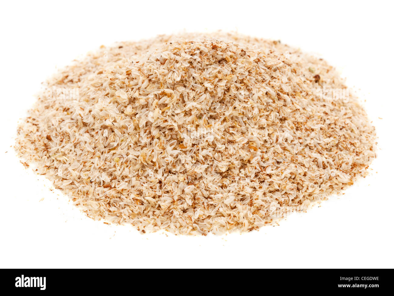 Un montón de cáscaras de semillas de psilio,suplemento dietético, fuente de fibra soluble Foto de stock