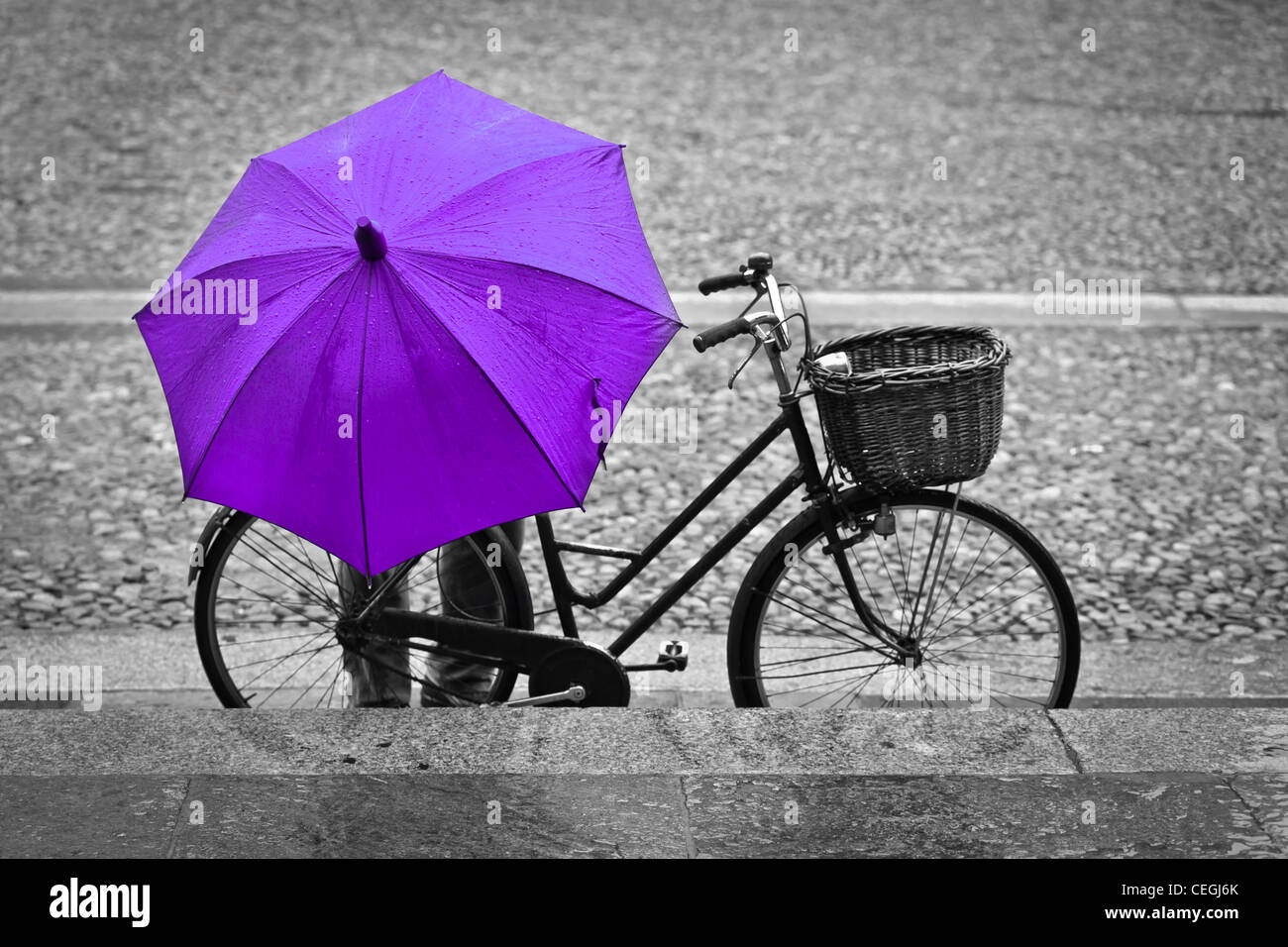 Un hombre con un paraguas rosa aparcar su bicicleta, Parma, Italia Foto de stock