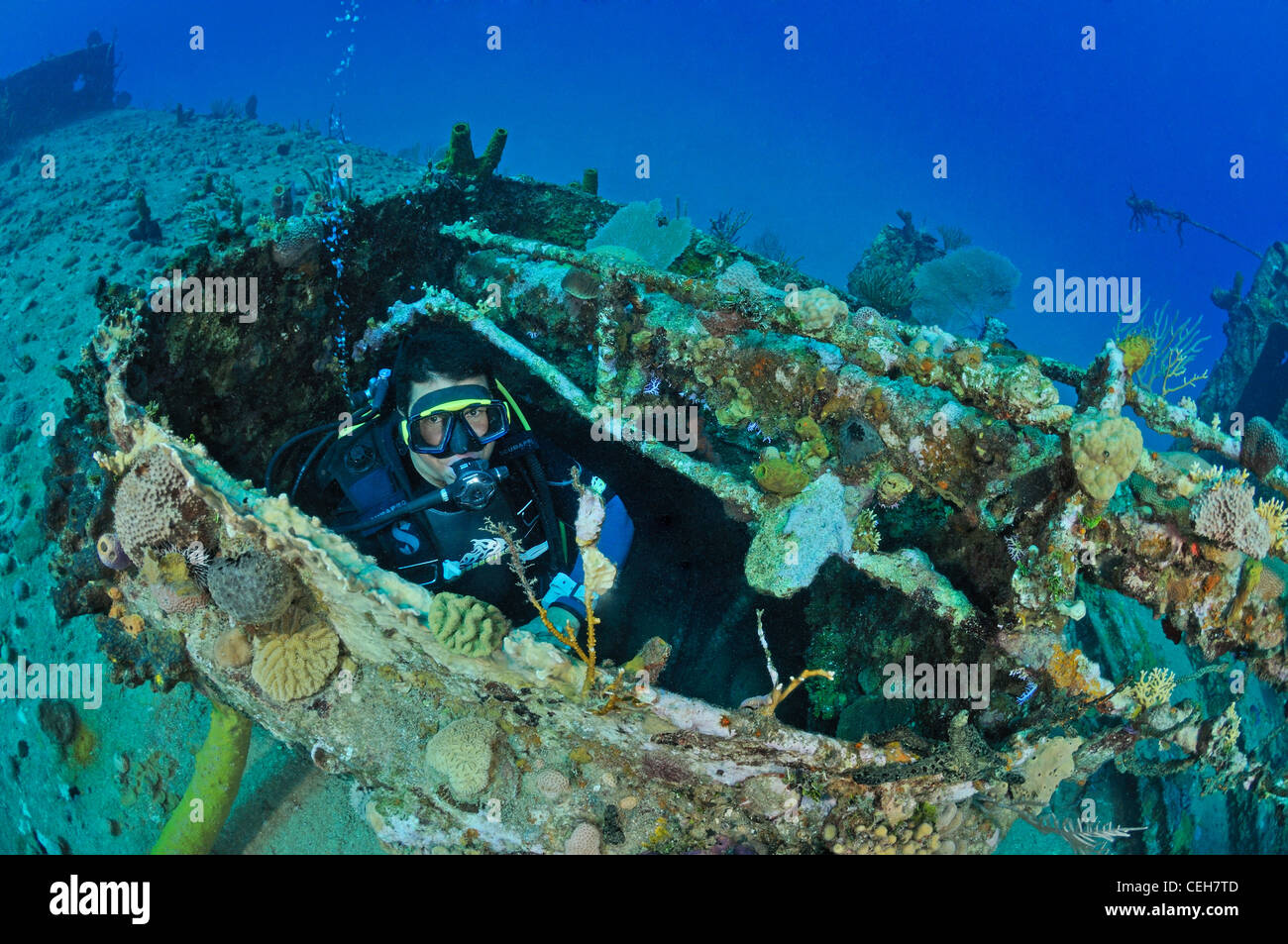 Buceo en naufragio Camaronero II, Cuba, el Caribe, Cienfuegos, pecio Camaronero II Foto de stock