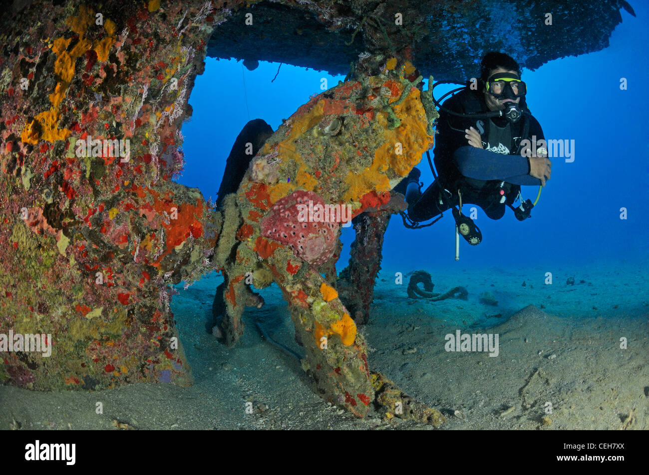 Buceo en naufragio Camaronero II, Cuba, el Caribe, Cienfuegos, pecio Camaronero II Foto de stock