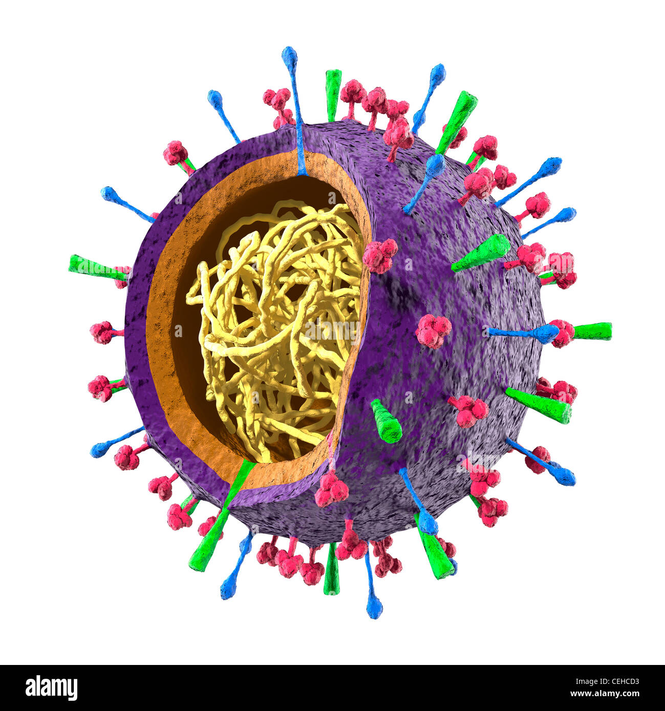 Partículas coloreadas del virus de la gripe H1N1 de la gripe aviar H5N1 virus - Estructura del virión. Ilustración 3D aislado sobre fondo blanco. Foto de stock