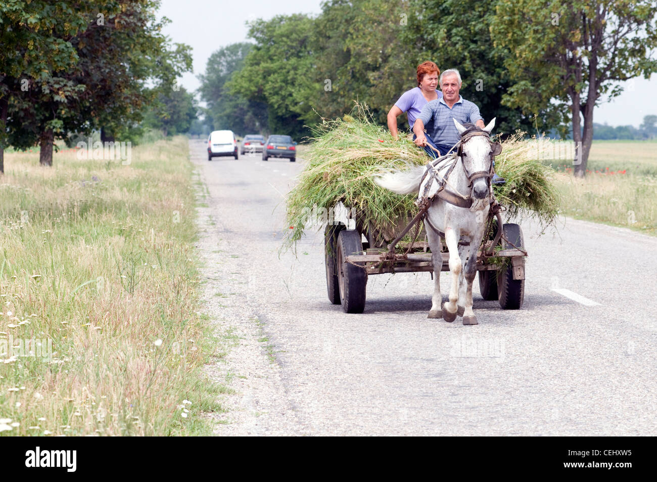 Caballo y carro, Rumania el hombre y la mujer, la familia Foto de stock