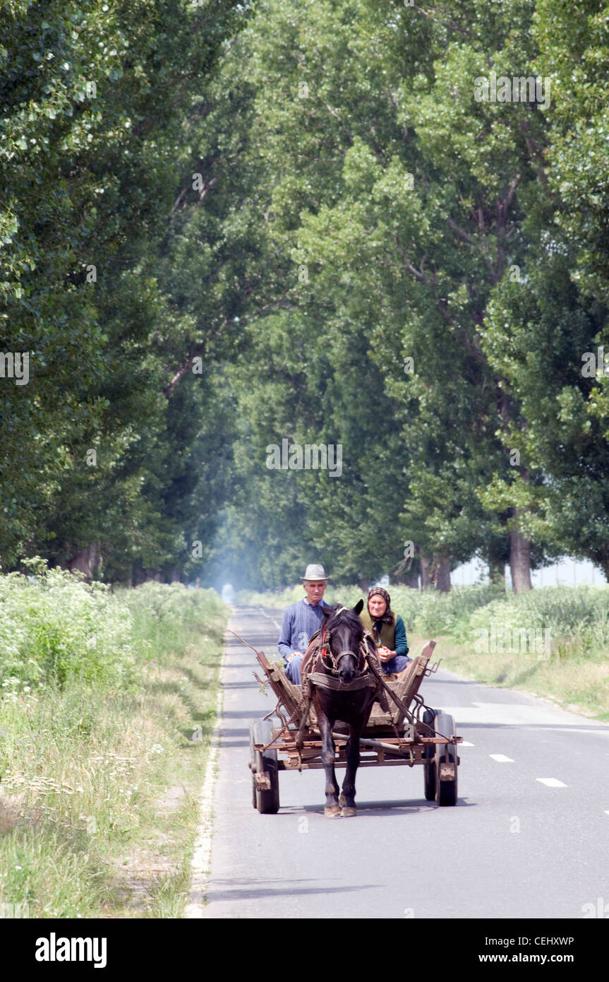 Caballo y carro, Rumania el hombre y la mujer, la familia Foto de stock