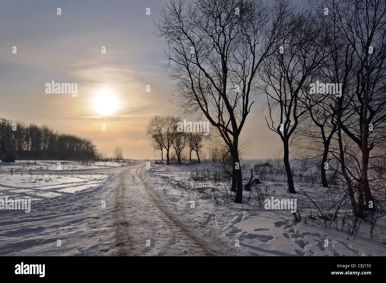 Rusia: Carretera de invierno Foto de stock