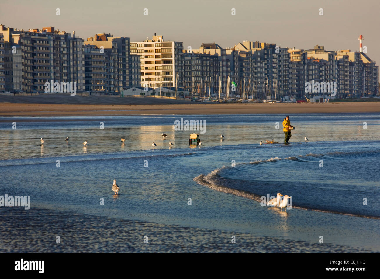 Desarrollo urbano belga mostrando apartamentos en la costa del Mar del Norte en Knokke-Heist, Bélgica Foto de stock