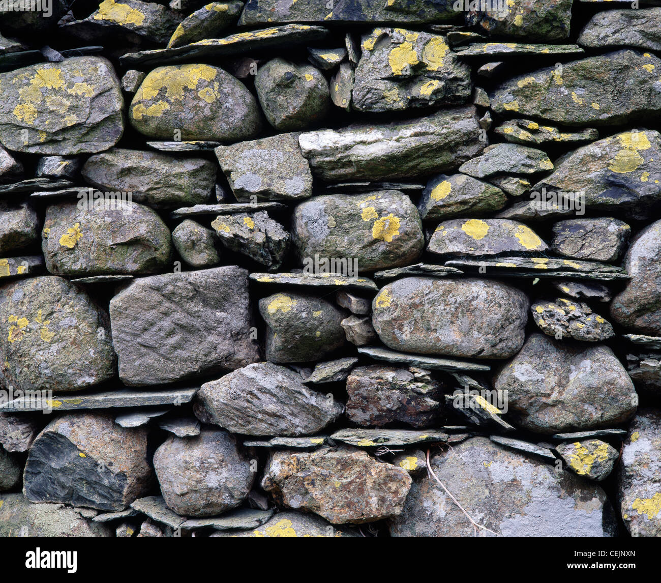 Drystone muro cerca. Newlands valle, Cumbria, Inglaterra, Reino Unido. En el Lake District National Park. Foto de stock