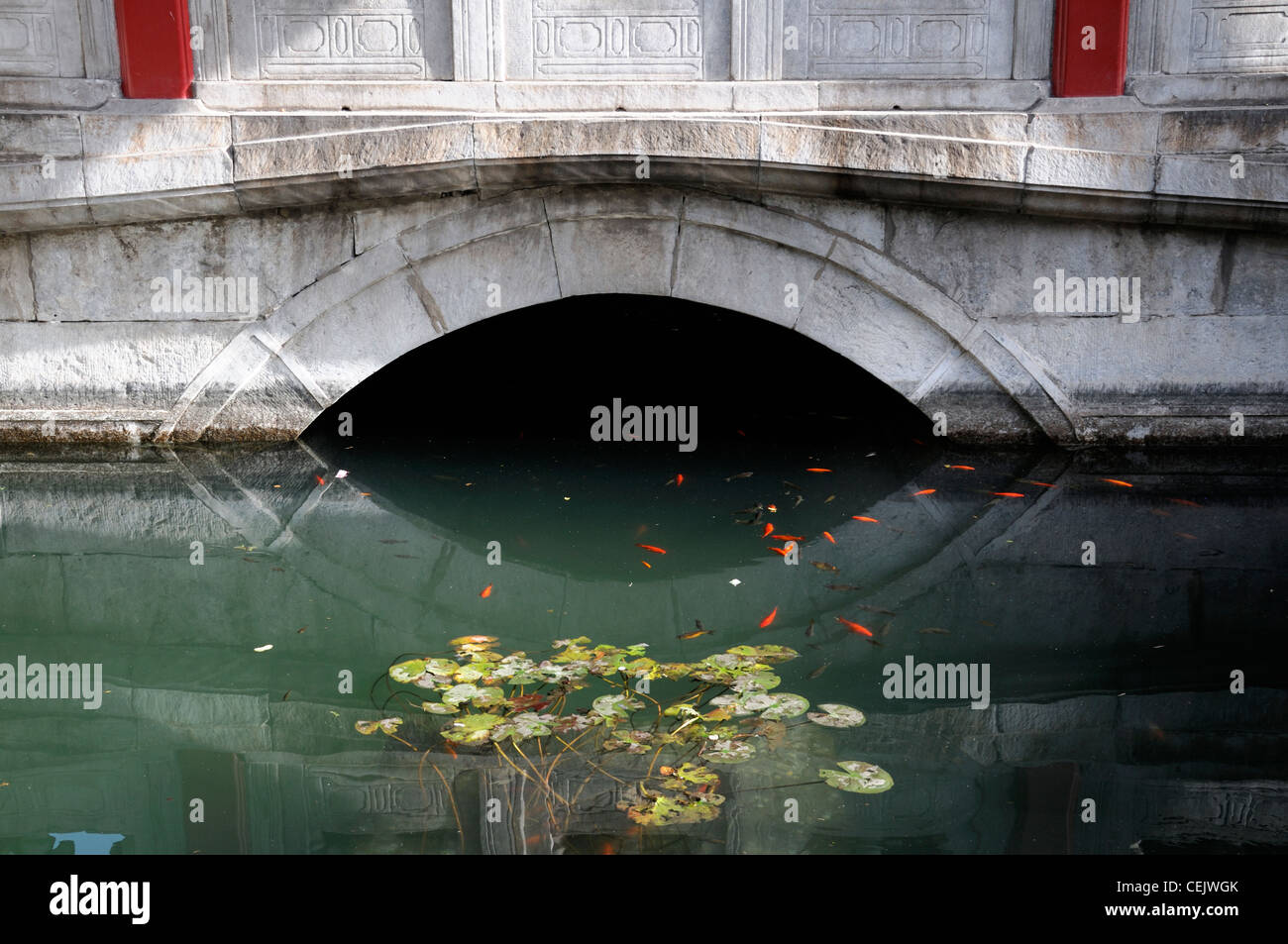 Solo span arch puente sobre el estanque de lirios jardín imperial de la Ciudad Prohibida de Beijing diseño característico de agua Foto de stock