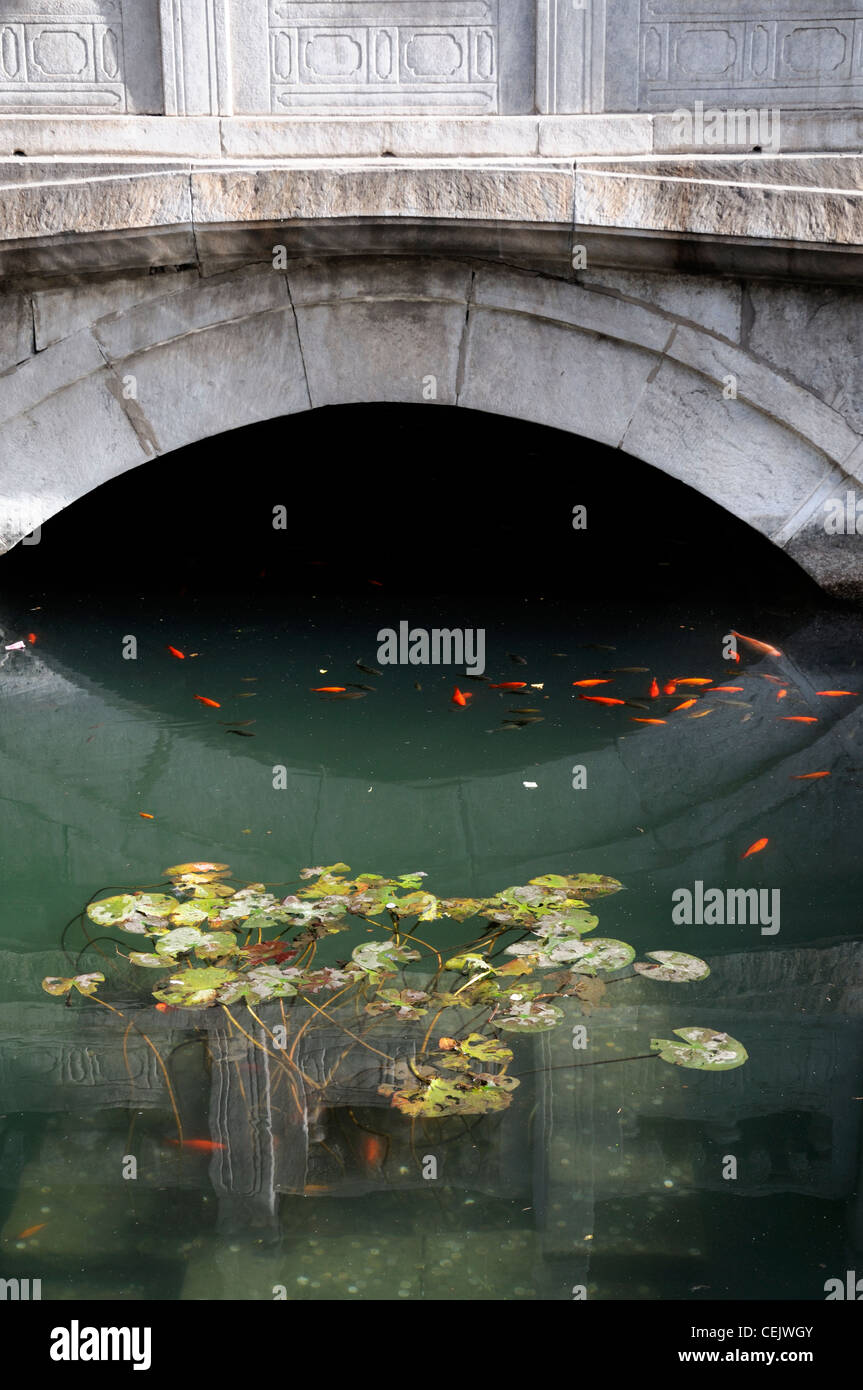 Solo span arch puente sobre el estanque de lirios jardín imperial de la Ciudad Prohibida de Beijing diseño característico de agua Foto de stock