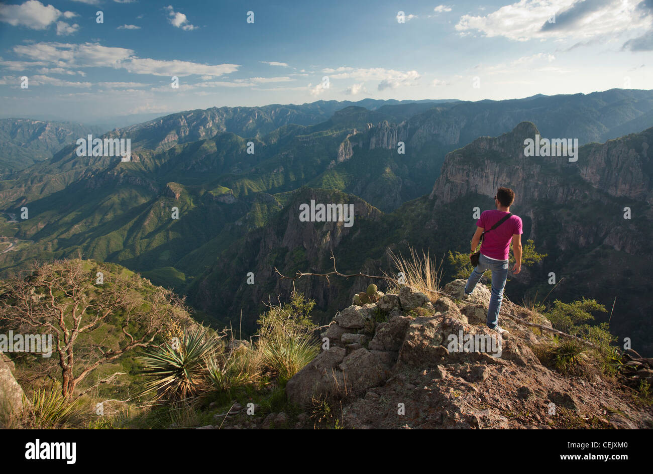Un hombre de pie sobre la cresta de un acantilado en la Barranca del Cobre en la región de Cerocahui, Chihuahua, México. Foto de stock
