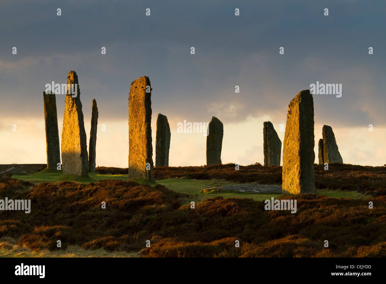 Anillo de Brodgar Stone Circle, Orkney Foto de stock