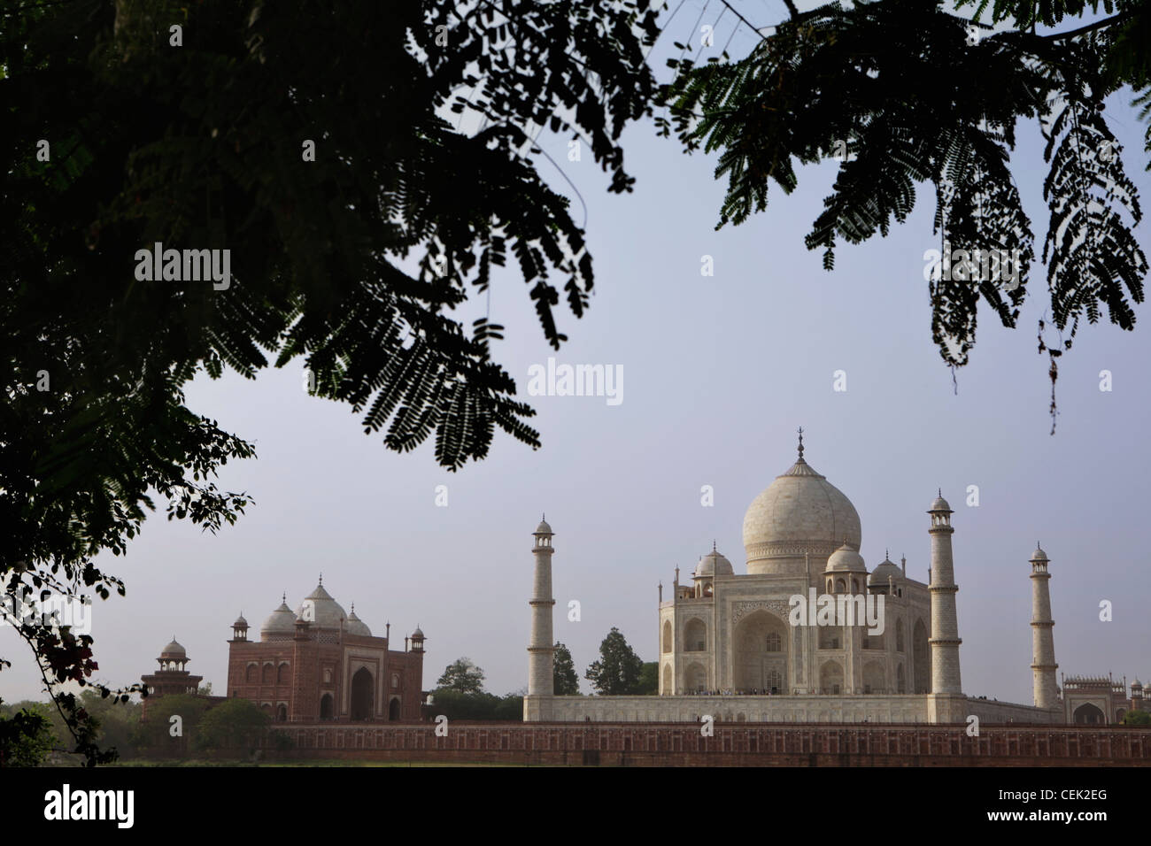 Plano amplio del Taj Mahal, en Agra, India Foto de stock