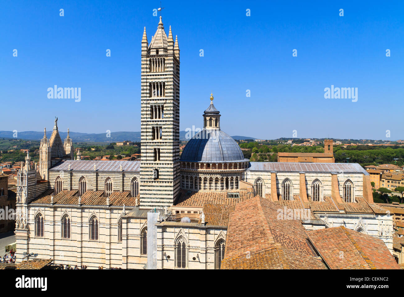 Domo de Siena / catedral (Duomo di Siena), Italia Foto de stock