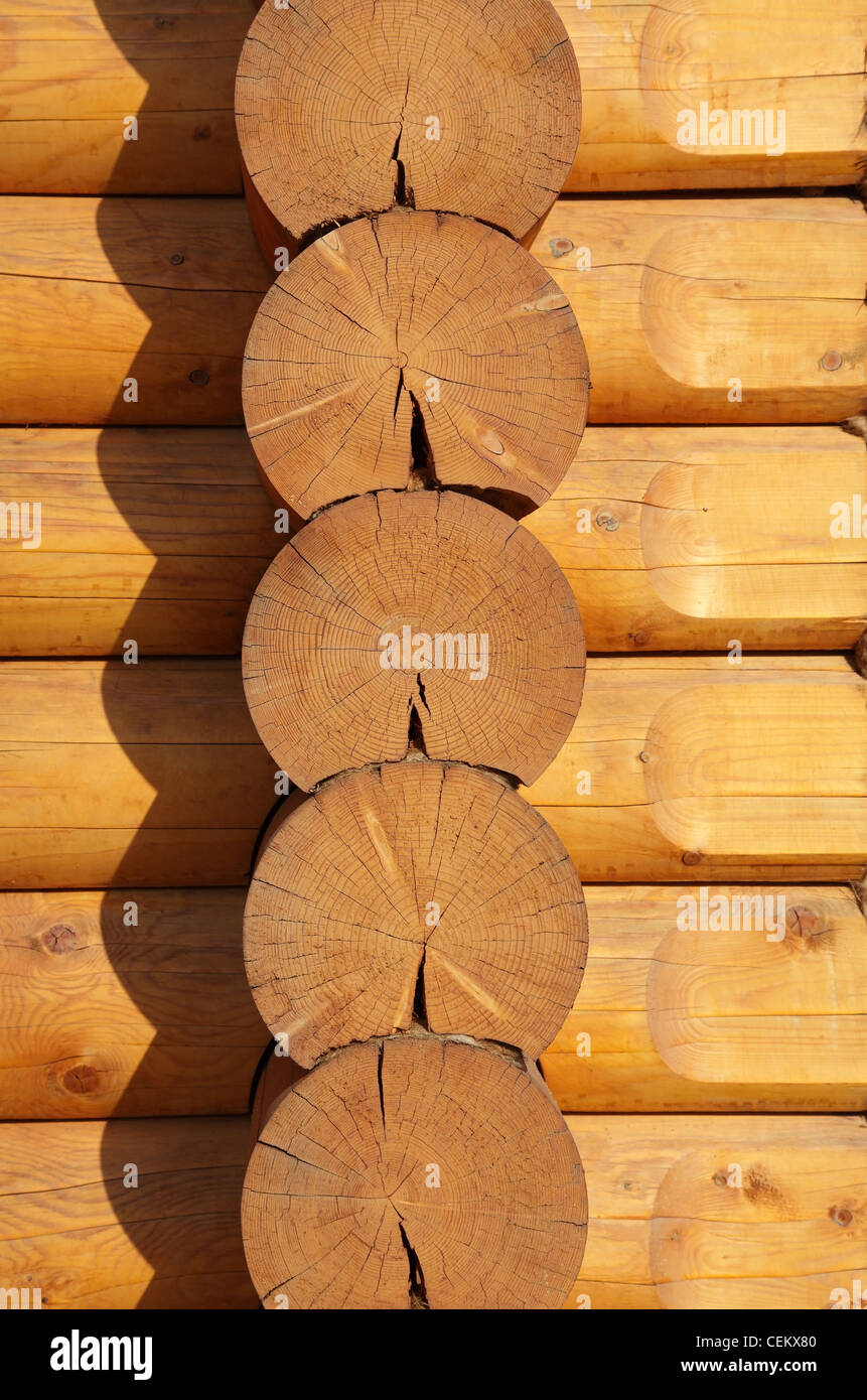 troncos de madera Foto de stock
