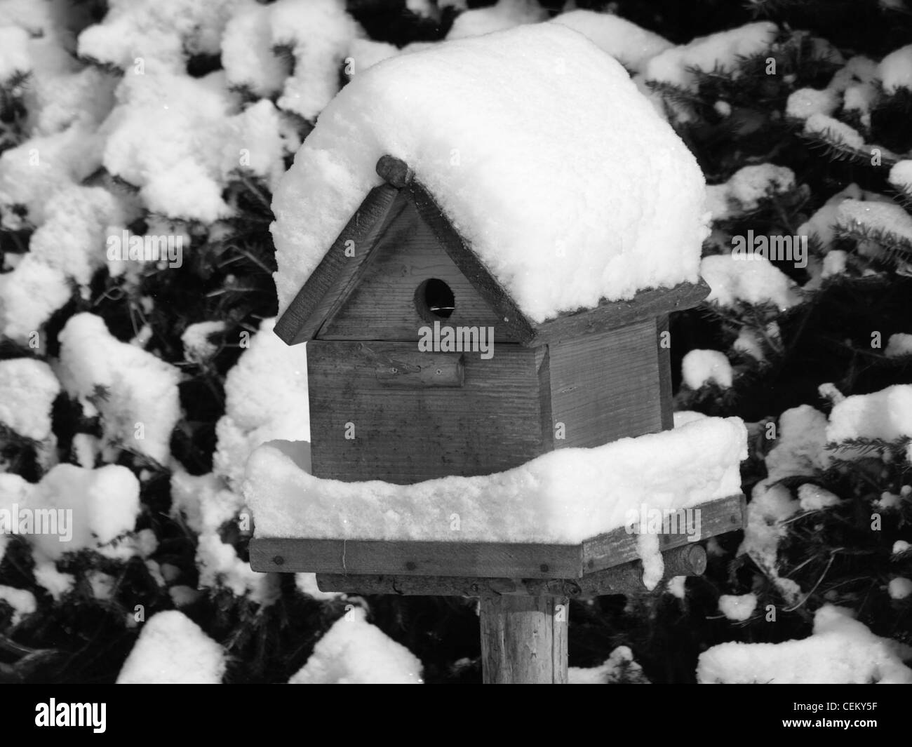 Snowy casita para aves, en blanco y negro / verschneites Vogelhaus, schwarz/weiß Foto de stock