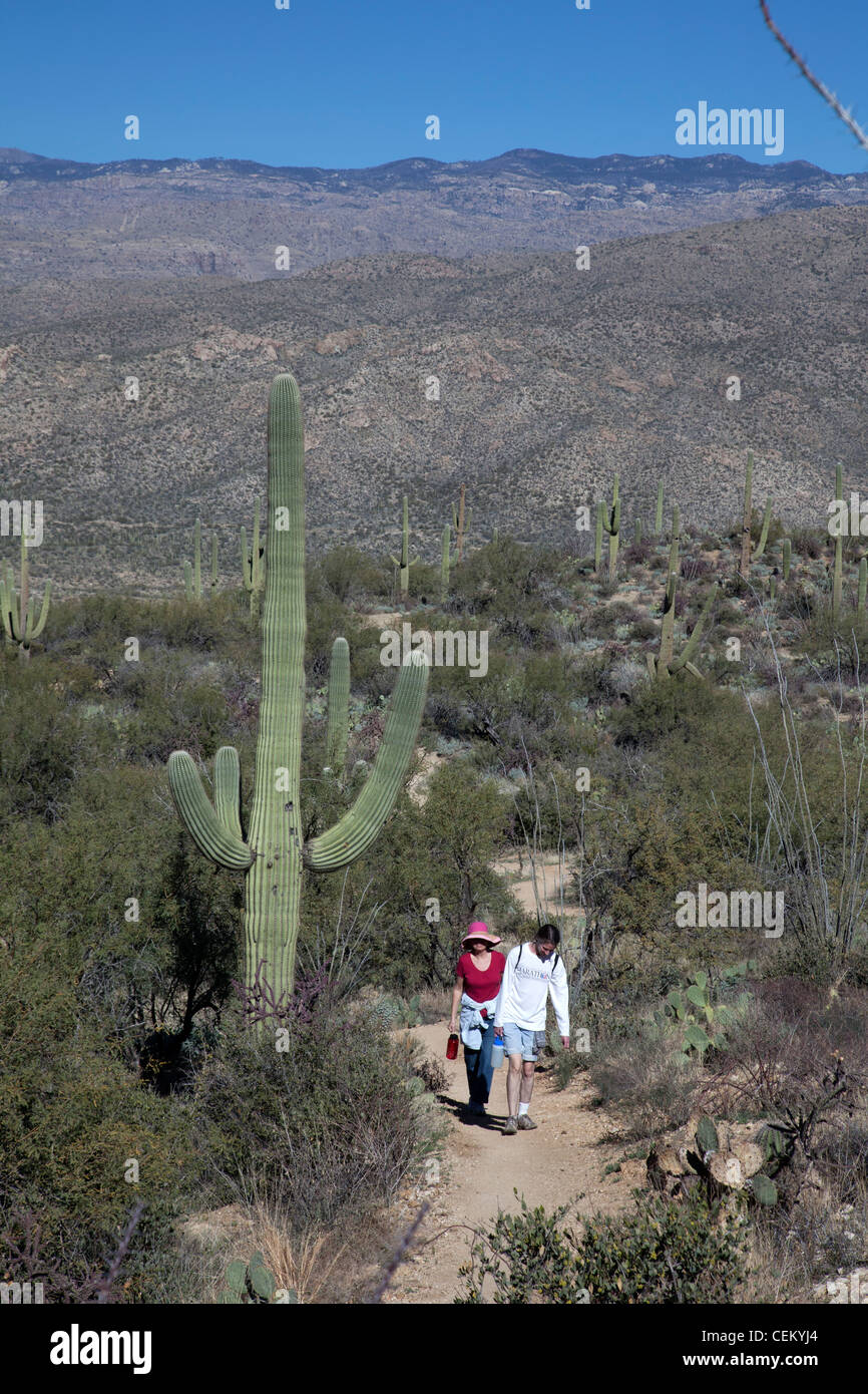 Niña Turística Del Parque Nacional Saguaro Foto de archivo - Imagen de  mujer, crea: 179955456