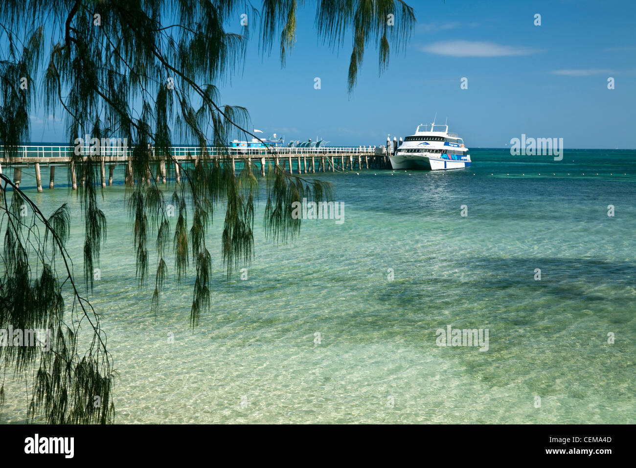 Barco turístico en el Jetty. Green Island, Great Barrier Reef Marine Park, Queensland, Australia Foto de stock